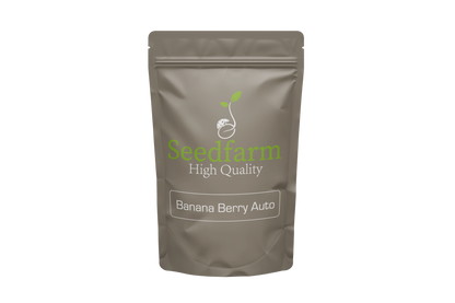 Banana Berry Auto