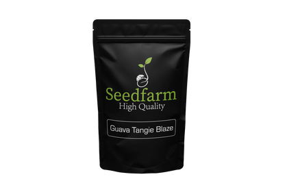 Guava Tangie Blaze