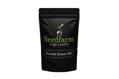Sunset Guava OG